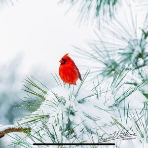 Meet your Posher, Kathryn